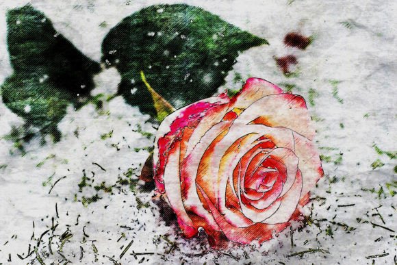 Download Printable Flower Graphics Pack# 09 - Flower graphics Collection