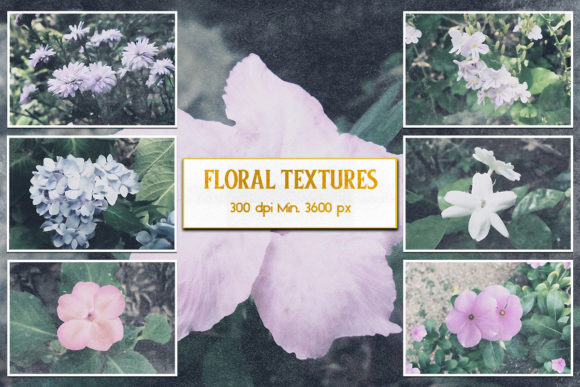 Download Floral Textures - Texture Collection