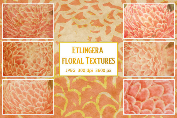 Download Etlingera Floral Textures - Texture Collection