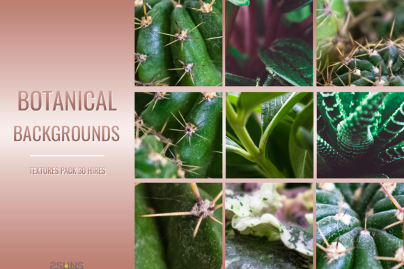 Download Botanical Textures Pack Backgrounds - Texture Collection
