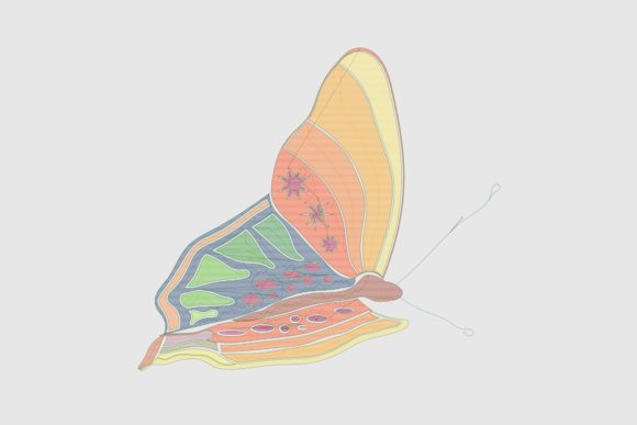 Download Bright November Butterfly - Bright Collection