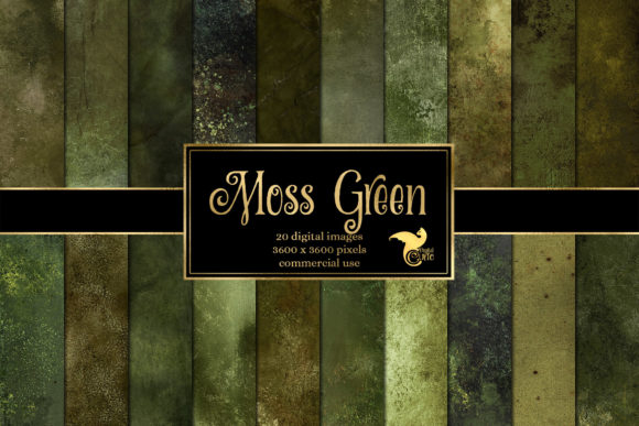 Download Moss Green Textures - Texture Collection